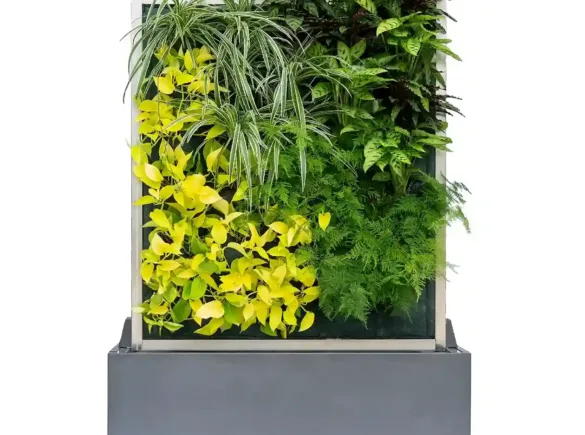 Accessorio layout piante personalizzazione 1